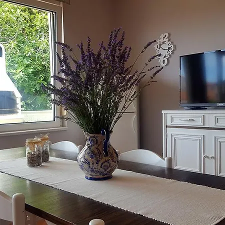 Branka Apartament Banjol