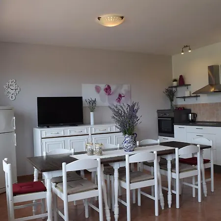 Branka Apartament