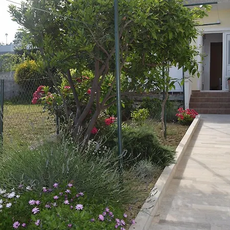 Apartment Branka