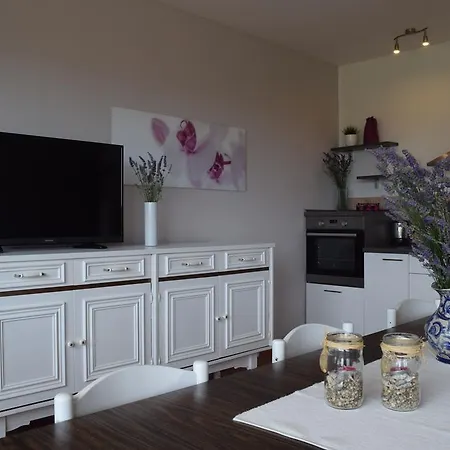 Apartment Branka *